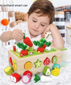 1 2 3 Year Old Baby Boys Girls Montessori Wooden Shape Sorting Toys Preschool Fine Motor Skills Learning Game